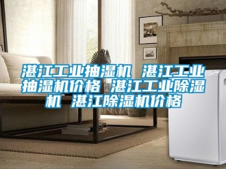 常見問題湛江工業(yè)抽濕機 湛江工業(yè)抽濕機價格 湛江工業(yè)除濕機 湛江除濕機價格