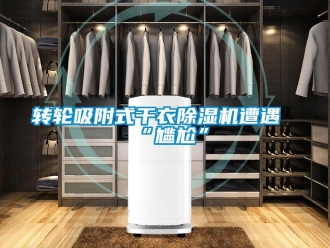 知識百科轉(zhuǎn)輪吸附式干衣除濕機(jī)遭遇“尷尬”