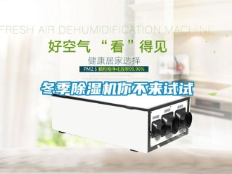 企業(yè)新聞冬季除濕機(jī)你不來試試