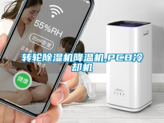 常見問題轉輪除濕機降溫機,PCB冷卻機