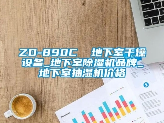 企業(yè)新聞ZD-890C  地下室干燥設(shè)備_地下室除濕機品牌_地下室抽濕機價格