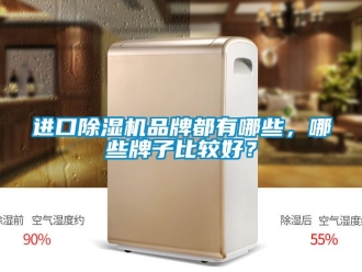 企業新聞進口除濕機品牌都有哪些，哪些牌子比較好？
