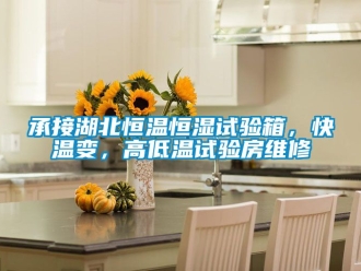 知識百科承接湖北恒溫恒濕試驗箱，快溫變，高低溫試驗房維修