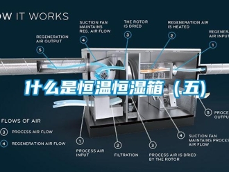 知識(shí)百科什么是恒溫恒濕箱（五)