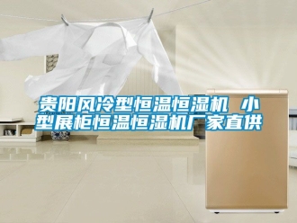 知識(shí)百科貴陽風(fēng)冷型恒溫恒濕機(jī) 小型展柜恒溫恒濕機(jī)廠家直供