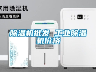 常見問題除濕機批發(fā) 工業(yè)除濕機價格