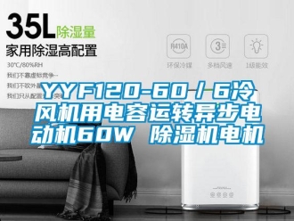 企業(yè)新聞YYF120-60／6冷風(fēng)機用電容運轉(zhuǎn)異步電動機60W 除濕機電機