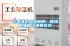 冬季謹防風濕骨病，除濕機輔助環境有功效