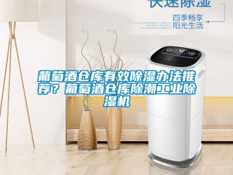 常見問題葡萄酒倉庫有效除濕辦法推薦？葡萄酒倉庫除潮工業除濕機