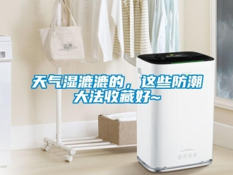 知識百科天氣濕漉漉的，這些防潮大法收藏好~