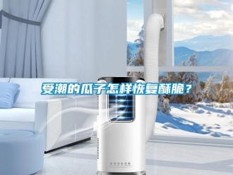 常見問題受潮的瓜子怎樣恢復酥脆？