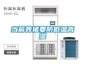 常見問題當前養豬要防低溫高濕
