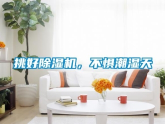 知識百科挑好除濕機，不懼潮濕天