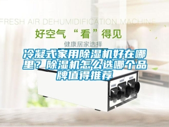 企業新聞冷凝式家用除濕機好在哪里？除濕機怎么選哪個品牌值得推薦