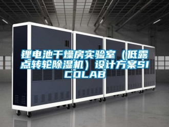 常見問題鋰電池干燥房實驗室（低露點轉(zhuǎn)輪除濕機）設(shè)計方案SICOLAB