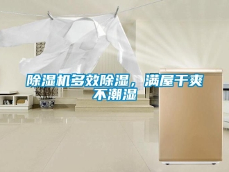 企業新聞除濕機多效除濕，滿屋干爽不潮濕