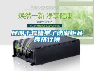 常見問題昆明干燥箱電子防潮柜品牌排行榜