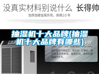 企業(yè)新聞抽濕機(jī)十大品牌(抽濕機(jī)十大品牌有哪些)