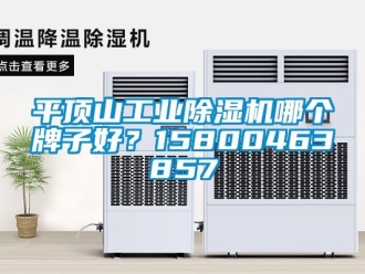 常見(jiàn)問(wèn)題平頂山工業(yè)除濕機(jī)哪個(gè)牌子好？15800463857