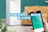 除濕機選的好，解決梅雨天煩惱