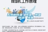 五恒即恒溫、恒濕、恒氧、恒潔、恒靜