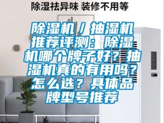 企業(yè)新聞除濕機(jī)／抽濕機(jī)推薦評測：除濕機(jī)哪個牌子好？抽濕機(jī)真的有用嗎？怎么選？具體品牌型號推薦