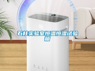 知識百科石柱實驗室恒溫恒濕試驗箱