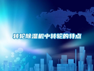 知識(shí)百科轉(zhuǎn)輪除濕機(jī)中轉(zhuǎn)輪的特點(diǎn)