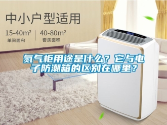 企業(yè)新聞氮氣柜用途是什么？它與電子防潮箱的區(qū)別在哪里？