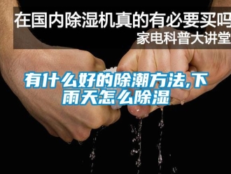 企業(yè)新聞有什么好的除潮方法,下雨天怎么除濕