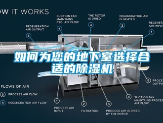 常見問題如何為您的地下室選擇合適的除濕機