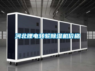 常見問題河北鋰電轉(zhuǎn)輪除濕機價格