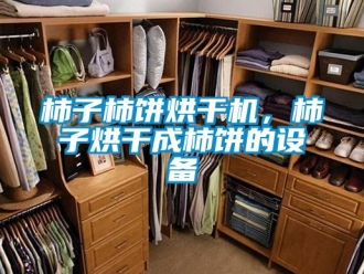 知識百科柿子柿餅烘干機，柿子烘干成柿餅的設備