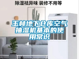 企業(yè)新聞?dòng)窳值叵聜}(cāng)庫(kù)空氣抽濕機(jī)基本的使用常識(shí)