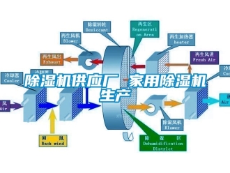 常見問題除濕機供應(yīng)廠 家用除濕機生產(chǎn)