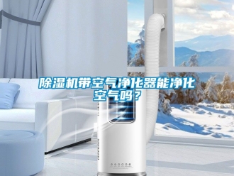 企業(yè)新聞除濕機帶空氣凈化器能凈化空氣嗎？