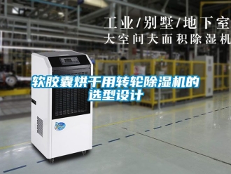 常見問題軟膠囊烘干用轉輪除濕機的選型設計