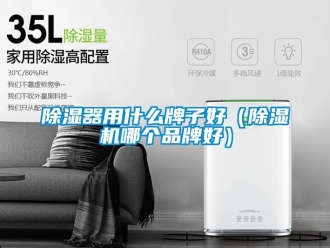 企業(yè)新聞除濕器用什么牌子好（除濕機(jī)哪個品牌好）
