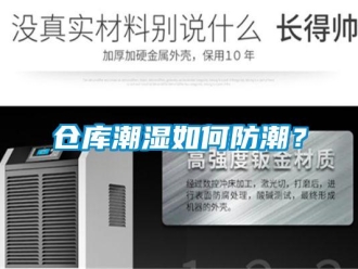 企業(yè)新聞倉庫潮濕如何防潮？