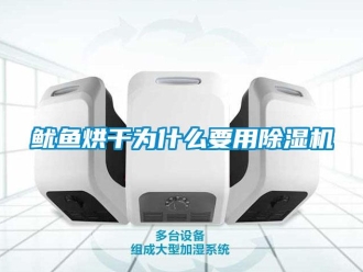 知識百科魷魚烘干為什么要用除濕機