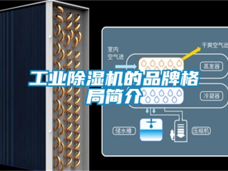 常見問題工業除濕機的品牌格局簡介