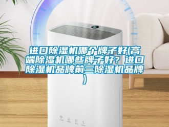企業新聞進口除濕機哪個牌子好(高端除濕機哪些牌子好？進口除濕機品牌前三除濕機品牌)