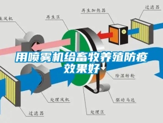 知識百科用噴霧機給畜牧養殖防疫效果好