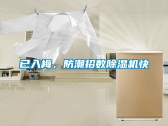 知識(shí)百科已入梅，防潮招數(shù)除濕機(jī)快