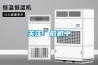 關注：危機中