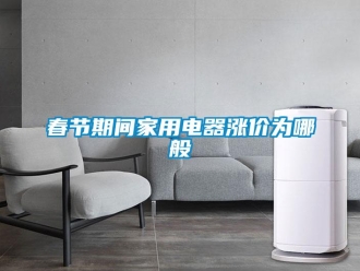 企業(yè)新聞春節(jié)期間家用電器漲價為哪般