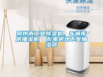 常見問題荊州市工業(yè)除濕機(jī)，車間庫房抽濕機(jī)  配電房地下室抽濕器