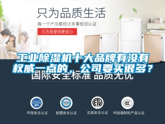 常見(jiàn)問(wèn)題工業(yè)除濕機(jī)十大品牌有沒(méi)有權(quán)威一點(diǎn)的，公司要買很多？