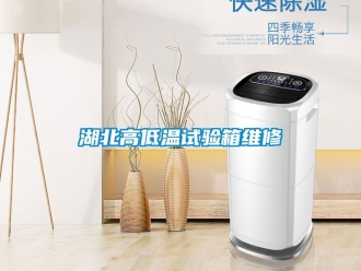常見問題湖北高低溫試驗箱維修