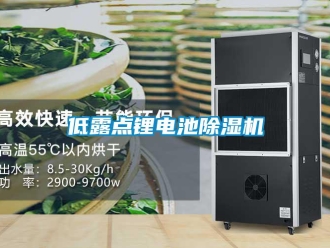 企業(yè)新聞低露點(diǎn)鋰電池除濕機(jī)